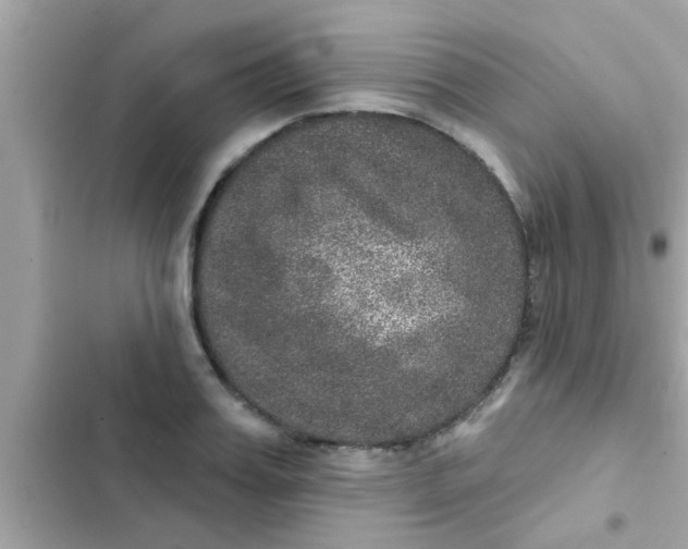 X0000102400987200808151939