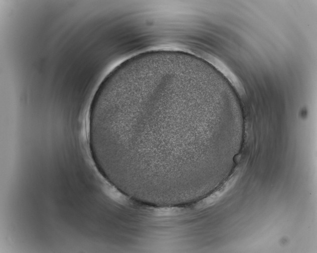 X0000102400988200808151939