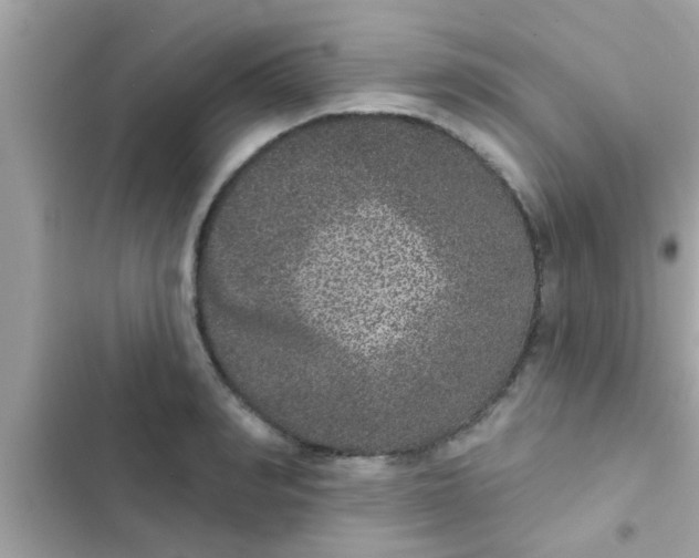 X0000102400990200808151939