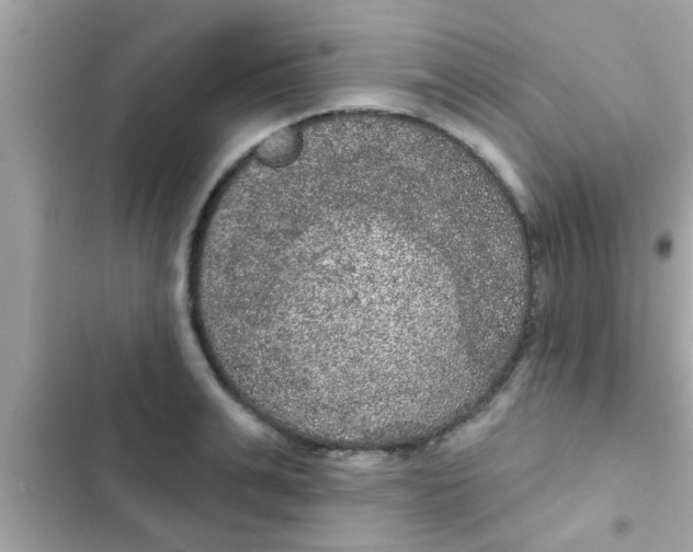 X0000102400991200808151939