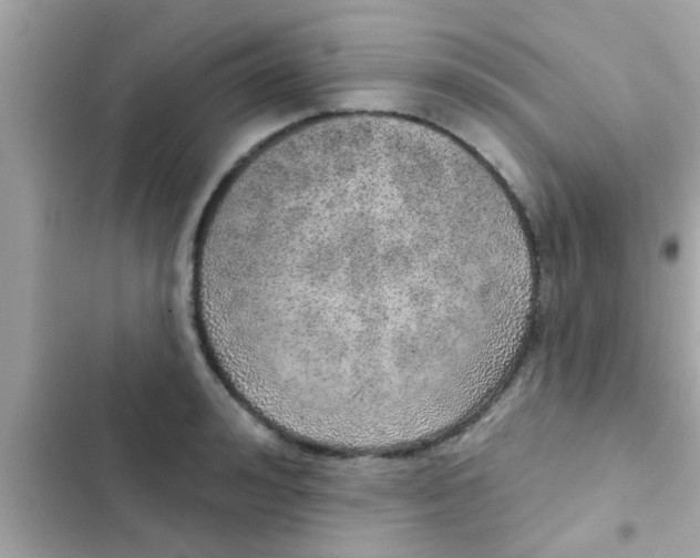 X0000102400992200808151939