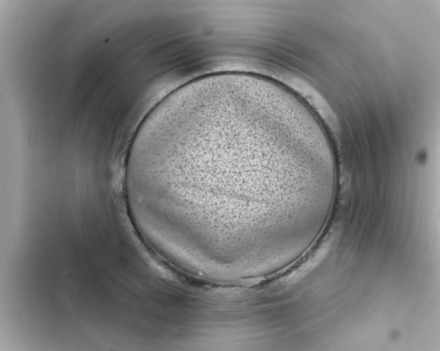 X0000102400993200808151939