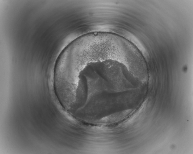 X0000102400994200808151939