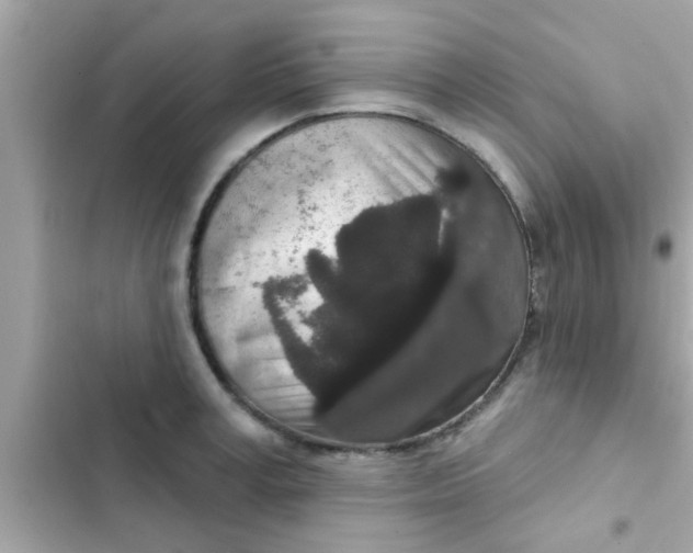 X0000102400995200808151939