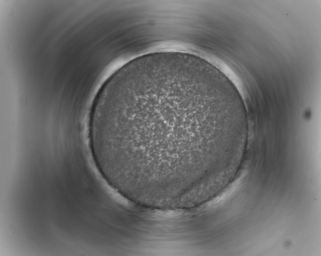 X0000102400997200808151939