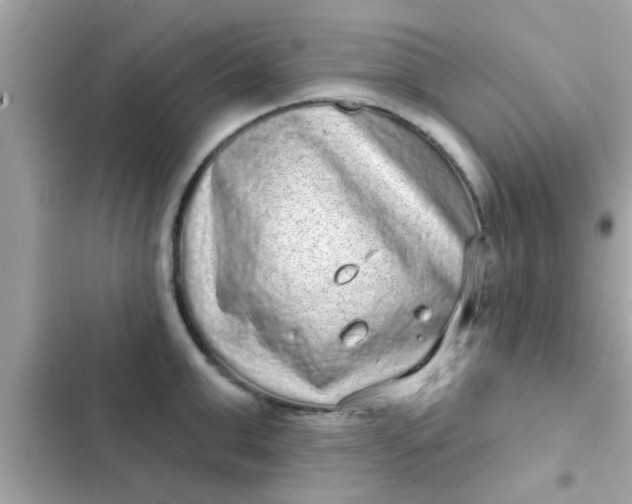 X0000102400999200808151939