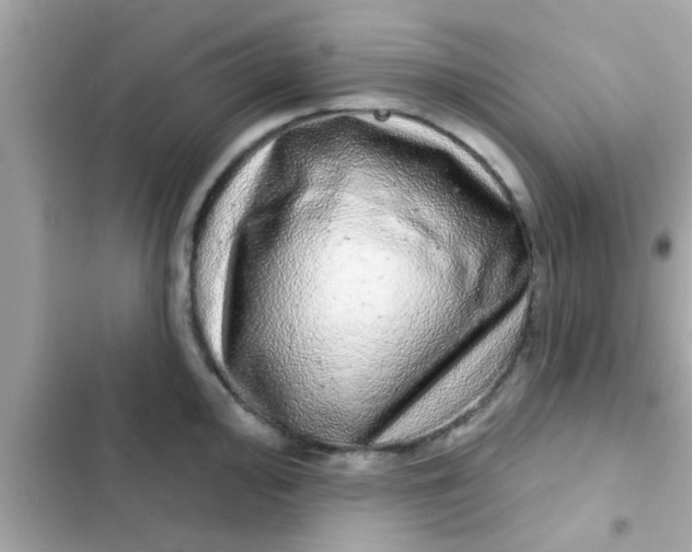 X0000102401000200808151939