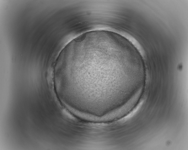 X0000102401001200808151939