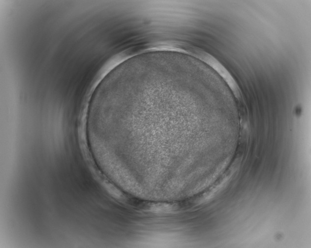 X0000102401002200808151939