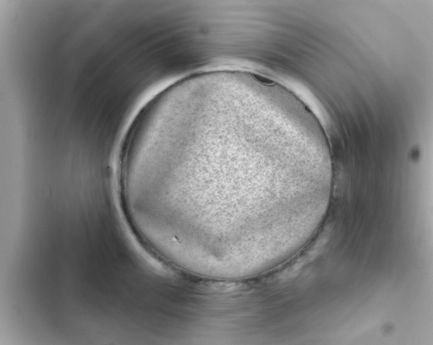 X0000102401003200808151939