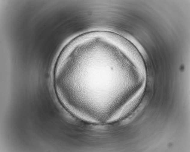 X0000102401004200808151939