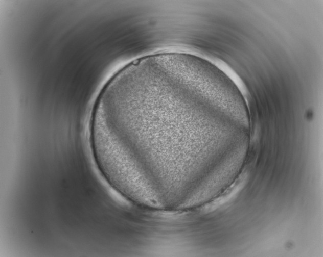 X0000102401005200808151939