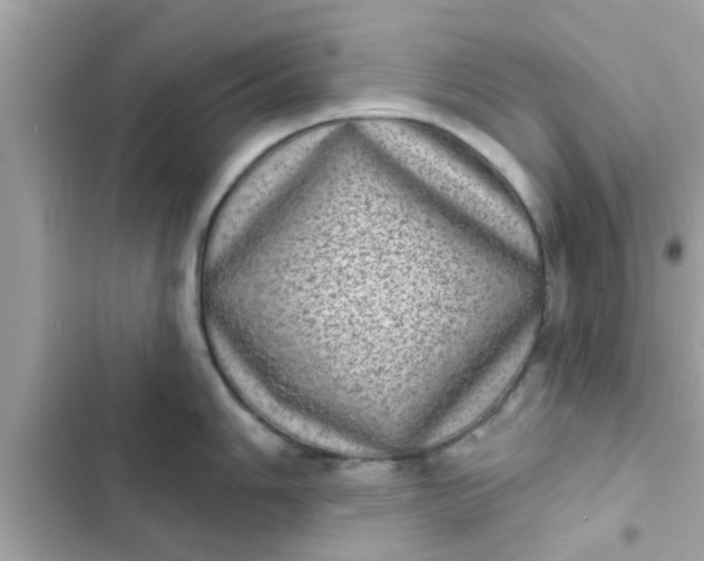 X0000102401006200808151939