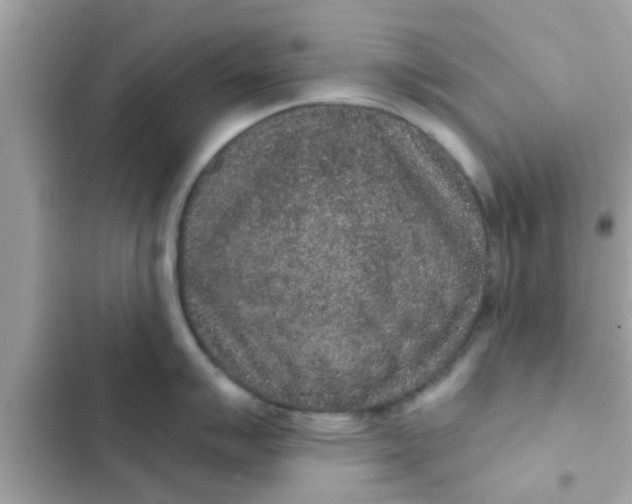 X0000102401007200808151939