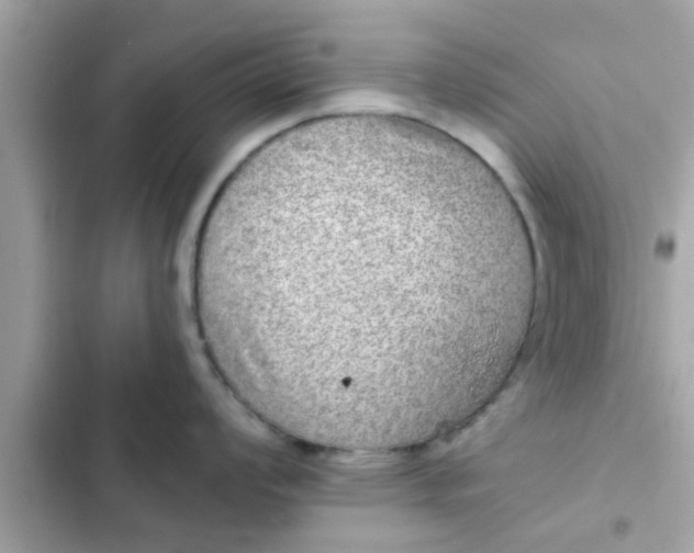 X0000102401008200808151939