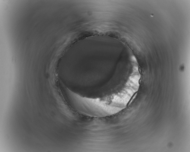 X0000102401009200808151938