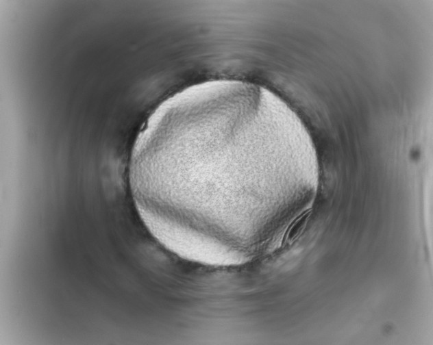 X0000102401010200808151938