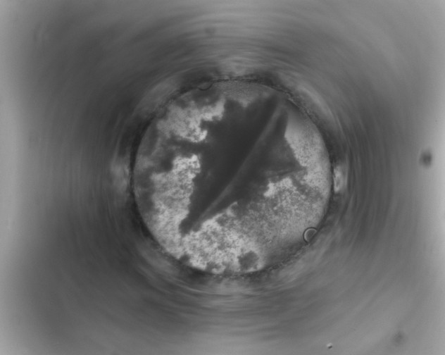 X0000102401011200808151938