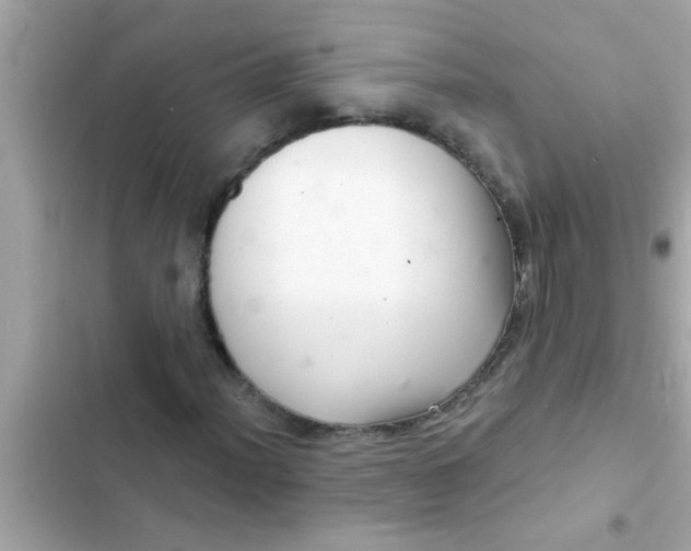 X0000102401012200808151938