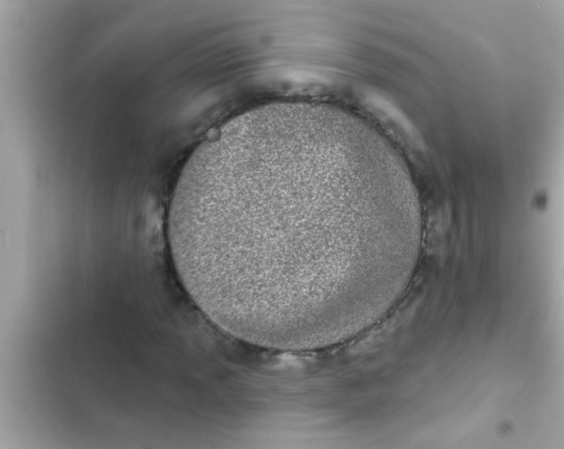 X0000102401013200808151938