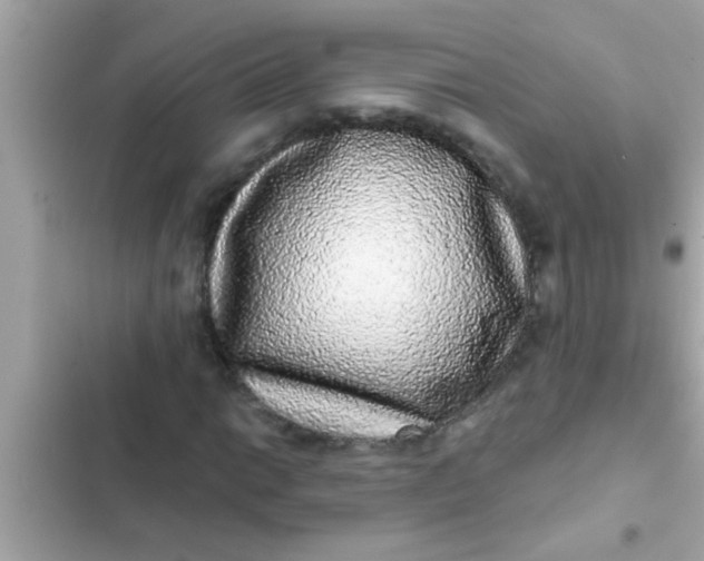 X0000102401014200808151938