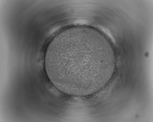 X0000102401015200808151938