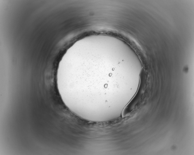 X0000102401016200808151938