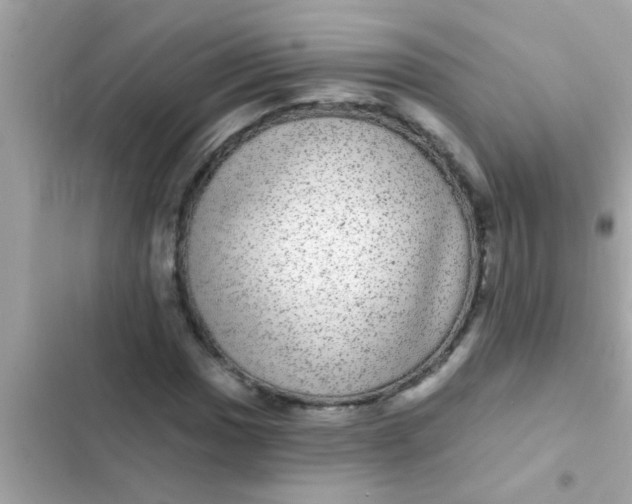 X0000102401017200808151938