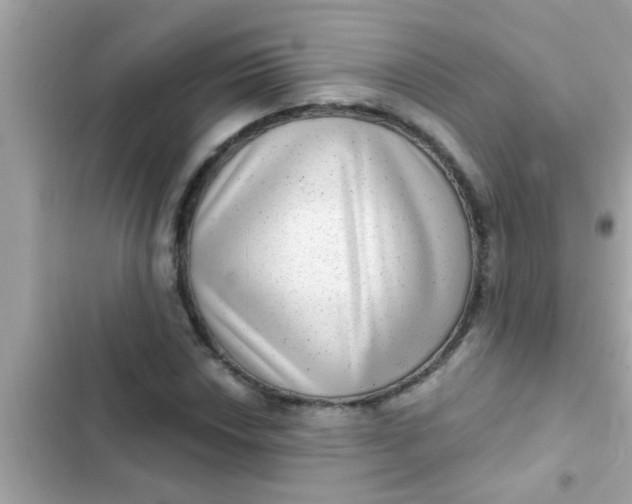 X0000102401018200808151938