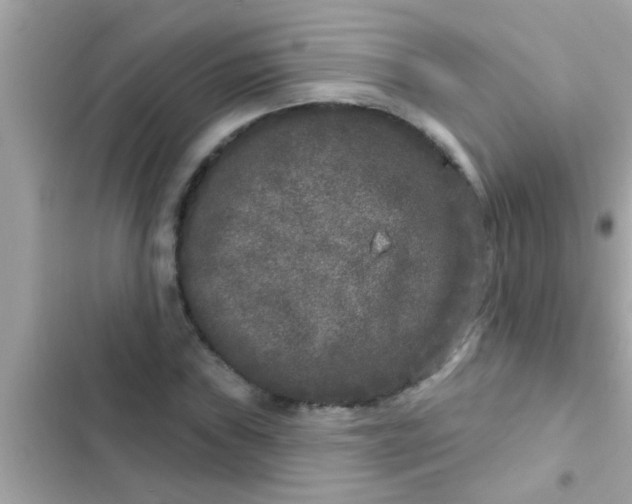 X0000102401019200808151938