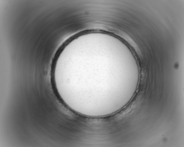 X0000102401020200808151938