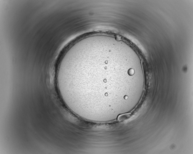 X0000102401021200808151938