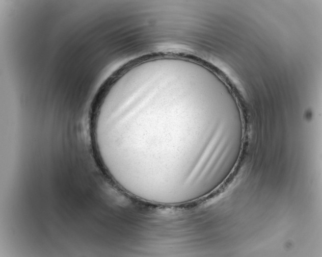 X0000102401022200808151938