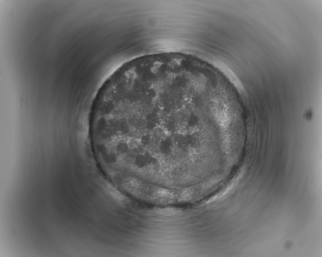 X0000102401023200808151938