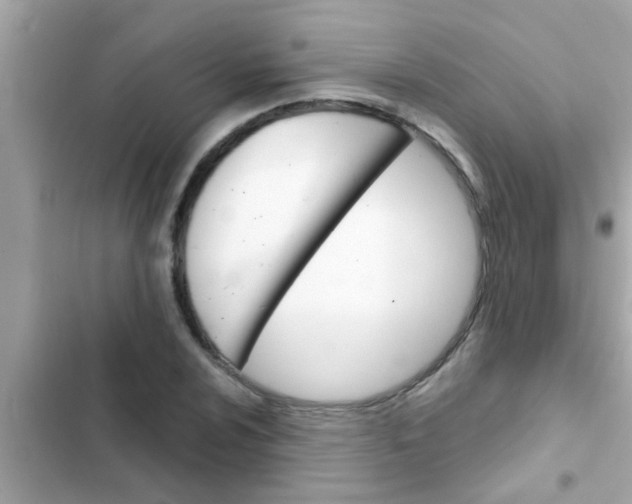 X0000102401024200808151938