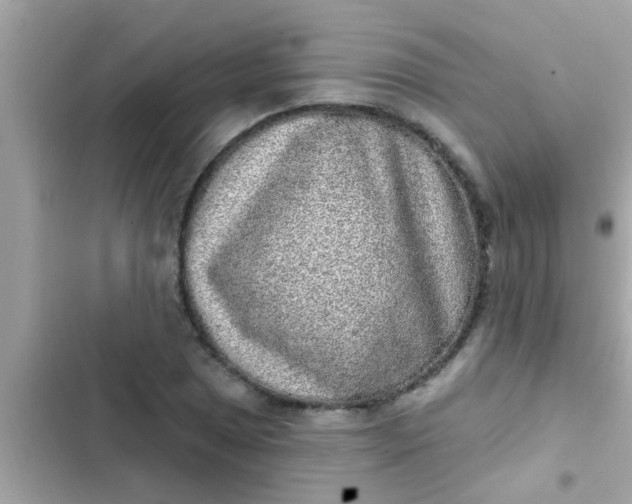 X0000102401025200808151938