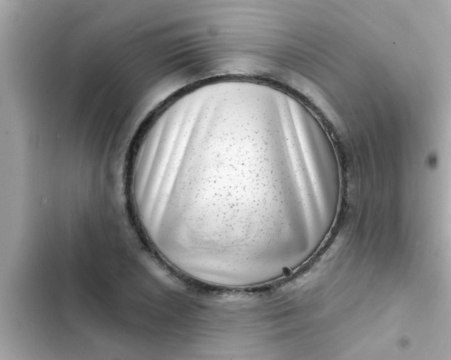 X0000102401026200808151938