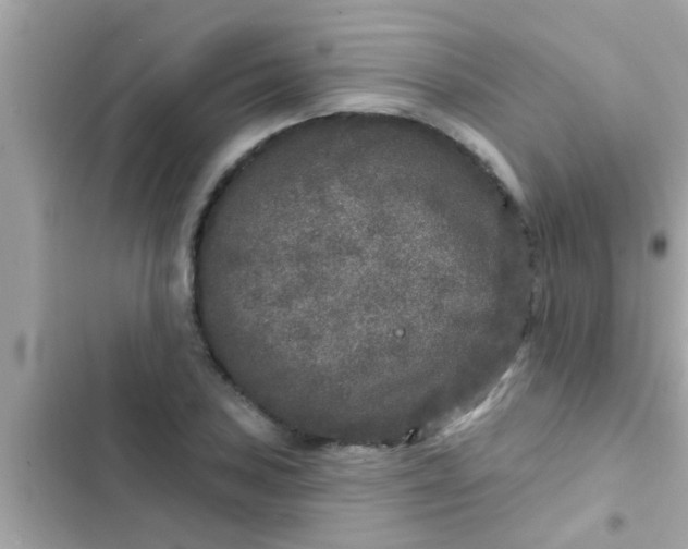 X0000102401027200808151938