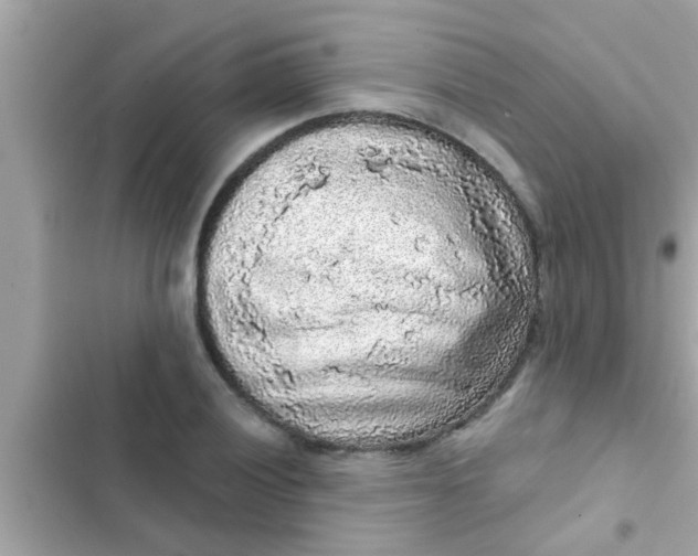 X0000102401028200808151938