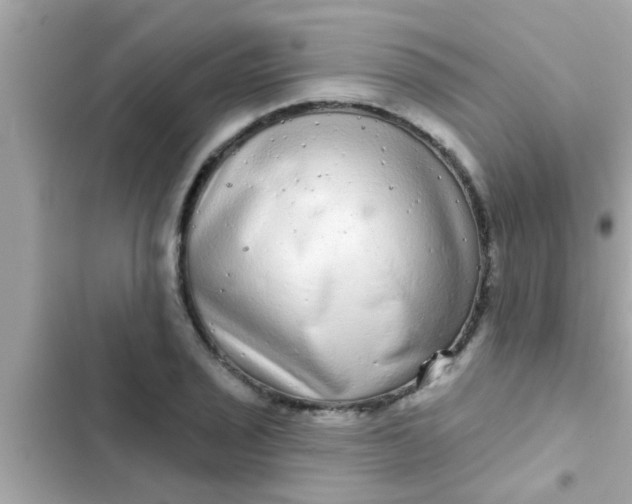 X0000102401029200808151938