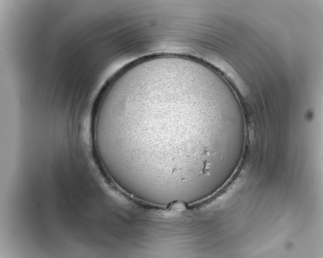 X0000102401030200808151938