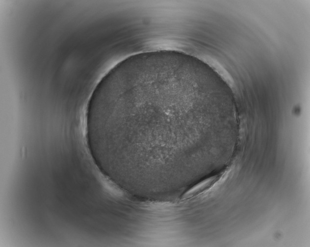 X0000102401031200808151938