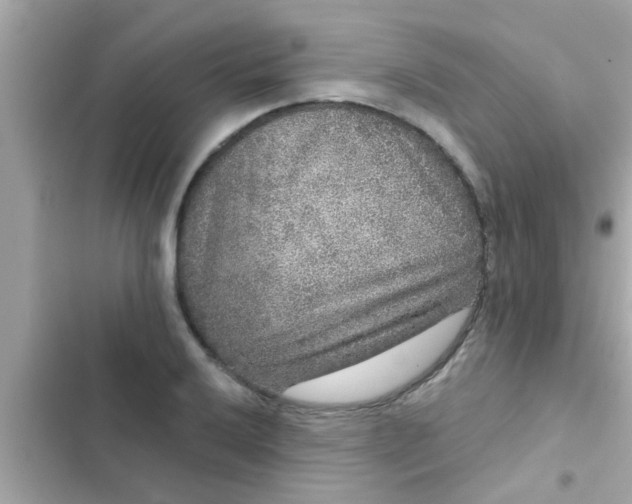 X0000102401032200808151938