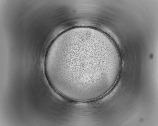 X0000102401033200808151938