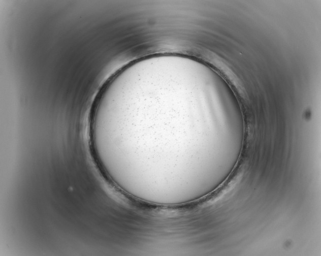 X0000102401034200808151938