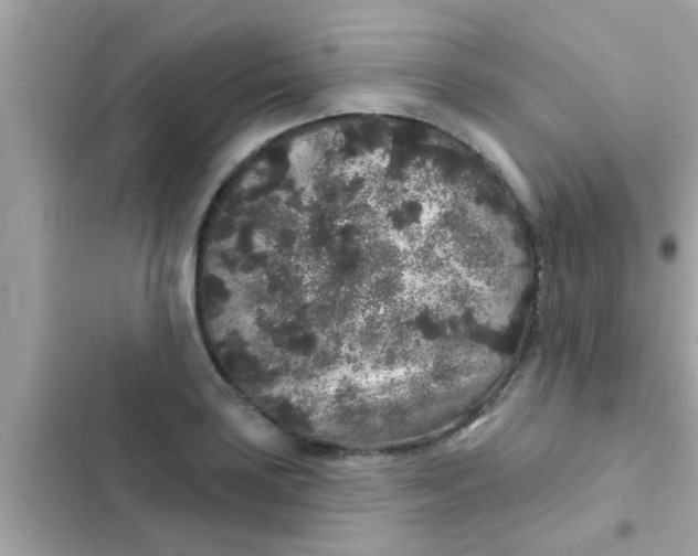 X0000102401035200808151938