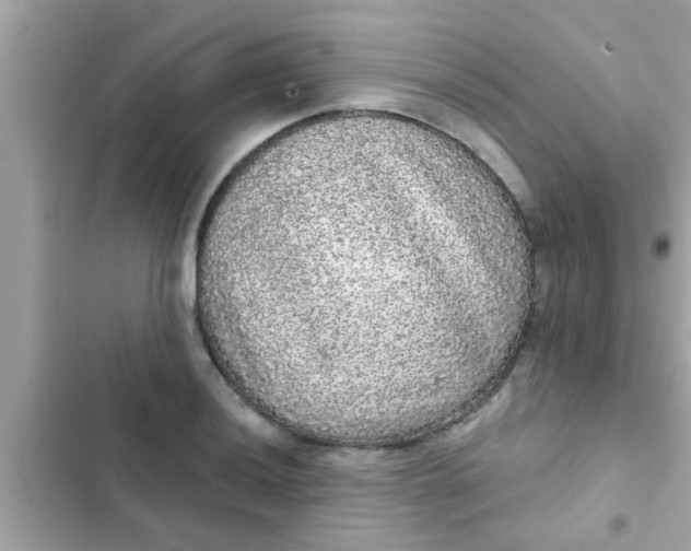 X0000102401036200808151938