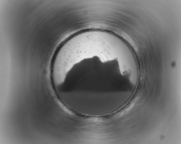 X0000102401037200808151938