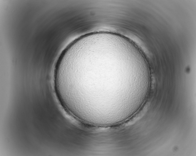 X0000102401038200808151938