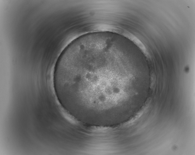 X0000102401039200808151938